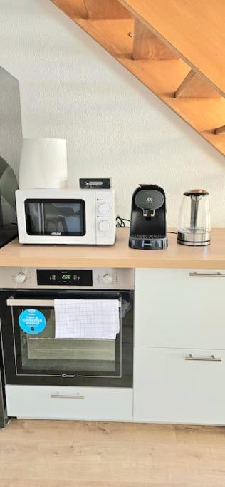 T3 Duplex Thonon Centre - Parking - Gare - Thermes Bagian luar foto